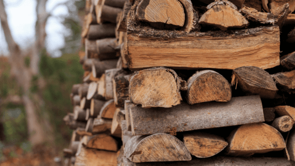 A Beginner'S Guide To Chopping Wood 20 Stacked firewood