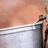 Maple Syrup Collection with a bucket hung on a tree tap