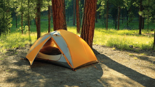 How To Pick The Right Tent (2023) 15 A tent surrounded by trees in spring