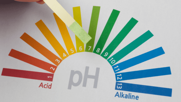 Water PH testing strips